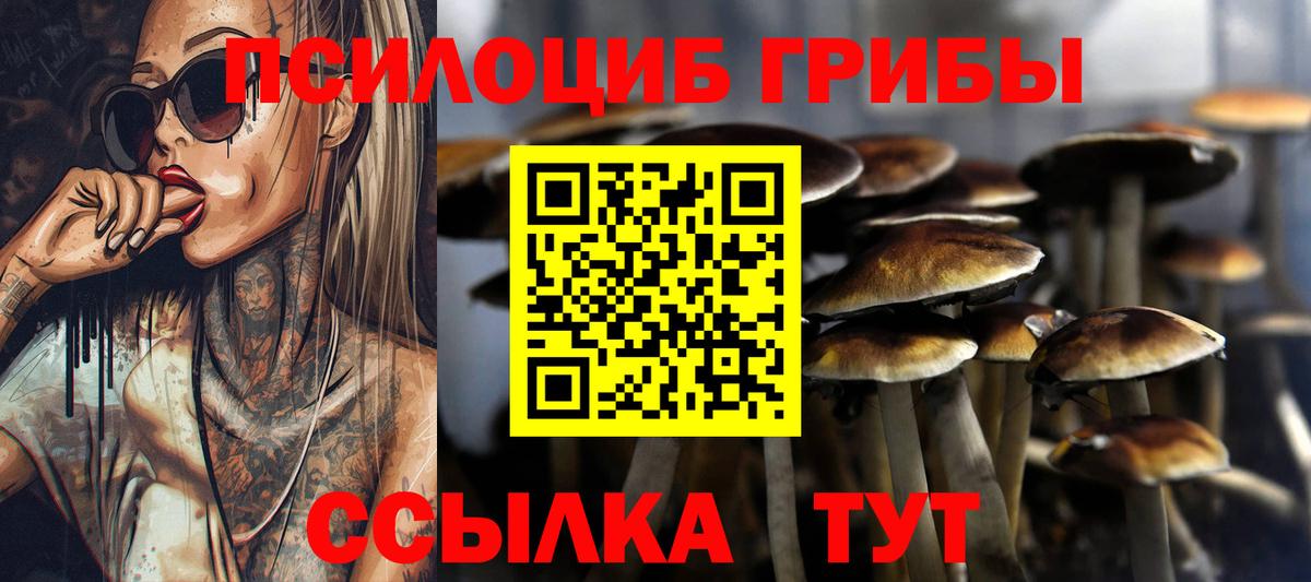 Галлюциногенные грибы Psilocybe Назарово