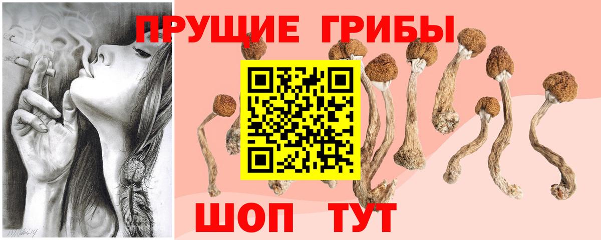 Галлюциногенные грибы Magic Shrooms  Вход с VPN  наркотики  Галлюциногенные грибы MAGIC MUSHROOMS  Назарово 